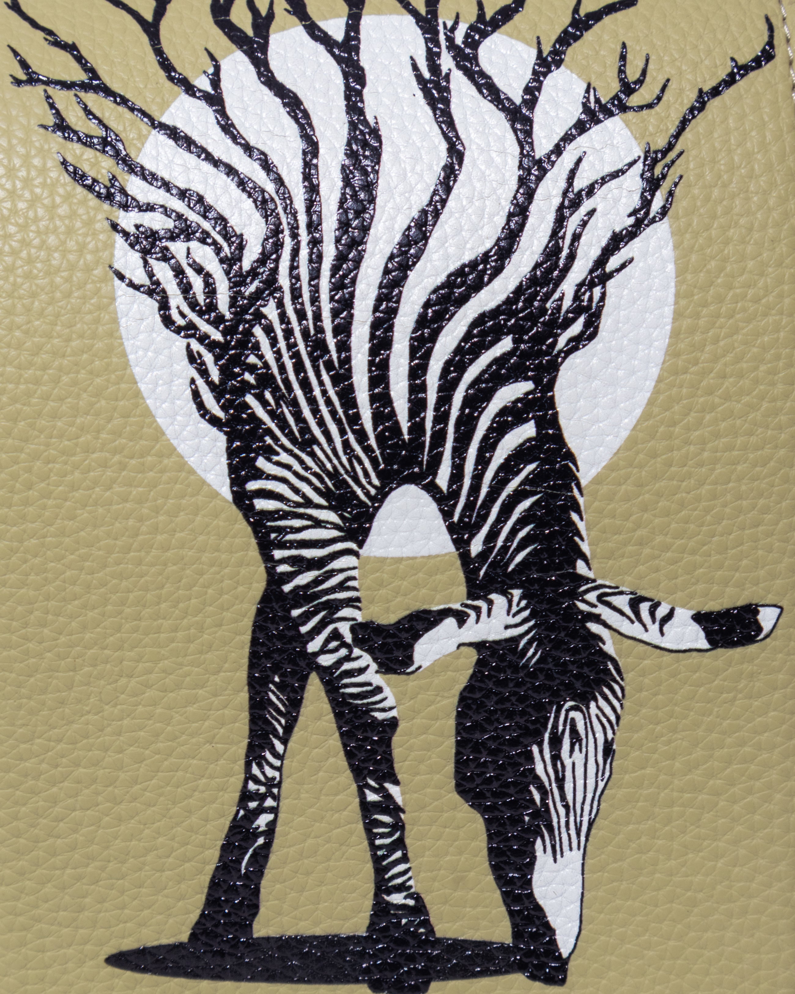 The Chitran Telephone Sling Bag